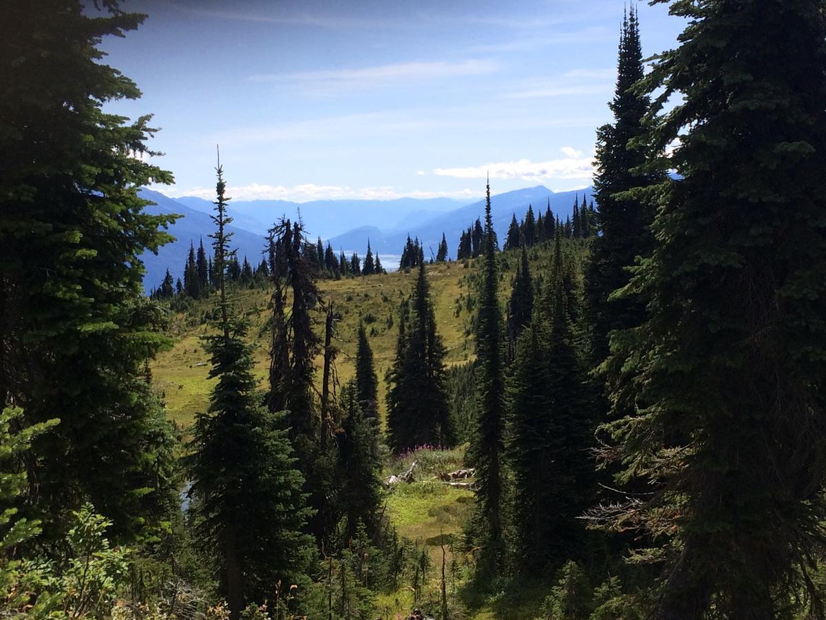 Alpenrose Revelstoke Bed & Breakfast Zewnętrze zdjęcie