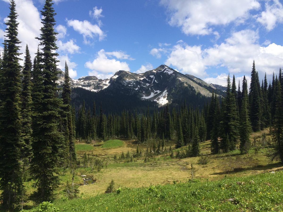 Alpenrose Revelstoke Bed & Breakfast Zewnętrze zdjęcie